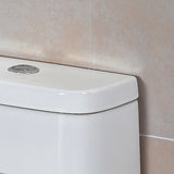 ARIEL Platinum Adriana Elongated Toilet with Dual Flush TB346M - BathVault