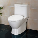 ARIEL Platinum Adriana Elongated Toilet with Dual Flush TB346M - BathVault